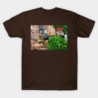 Siesta time for the cats of Monemvassia T-Shirt